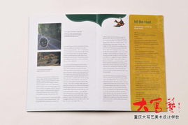 設(shè)計師Carolina Medeiros的書籍設(shè)計藝術(shù)及其對室內(nèi)外平面圖文設(shè)計的啟示——以重慶、成都家裝飾設(shè)計師培訓(xùn)為參考