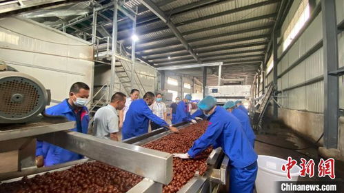 百?lài)?guó)華僑華人走進(jìn)云南臨滄 感受創(chuàng)新進(jìn)步 開(kāi)放包容大美邊疆