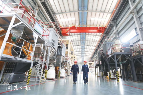 主動(dòng)融入發(fā)展大局 打造鋯鎂產(chǎn)業(yè)集群